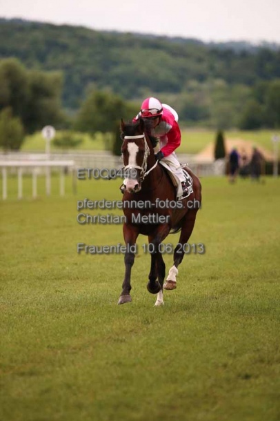 ET0Q0449 prot